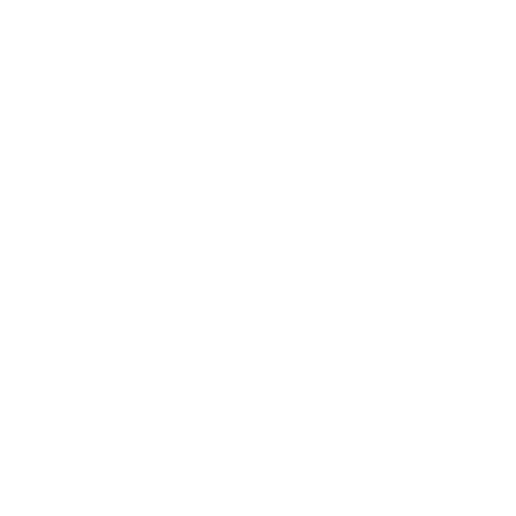 Main image preview